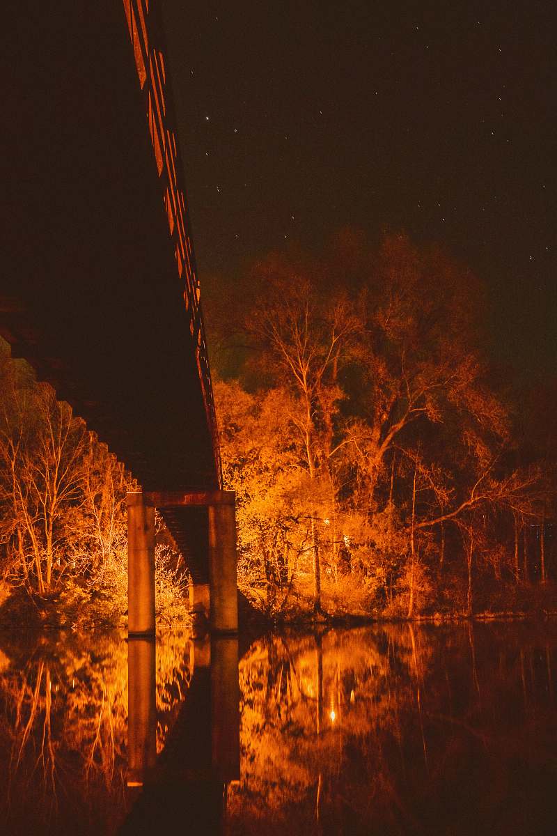 tree shallow focus photo of tree beside bridge during nighttime water
