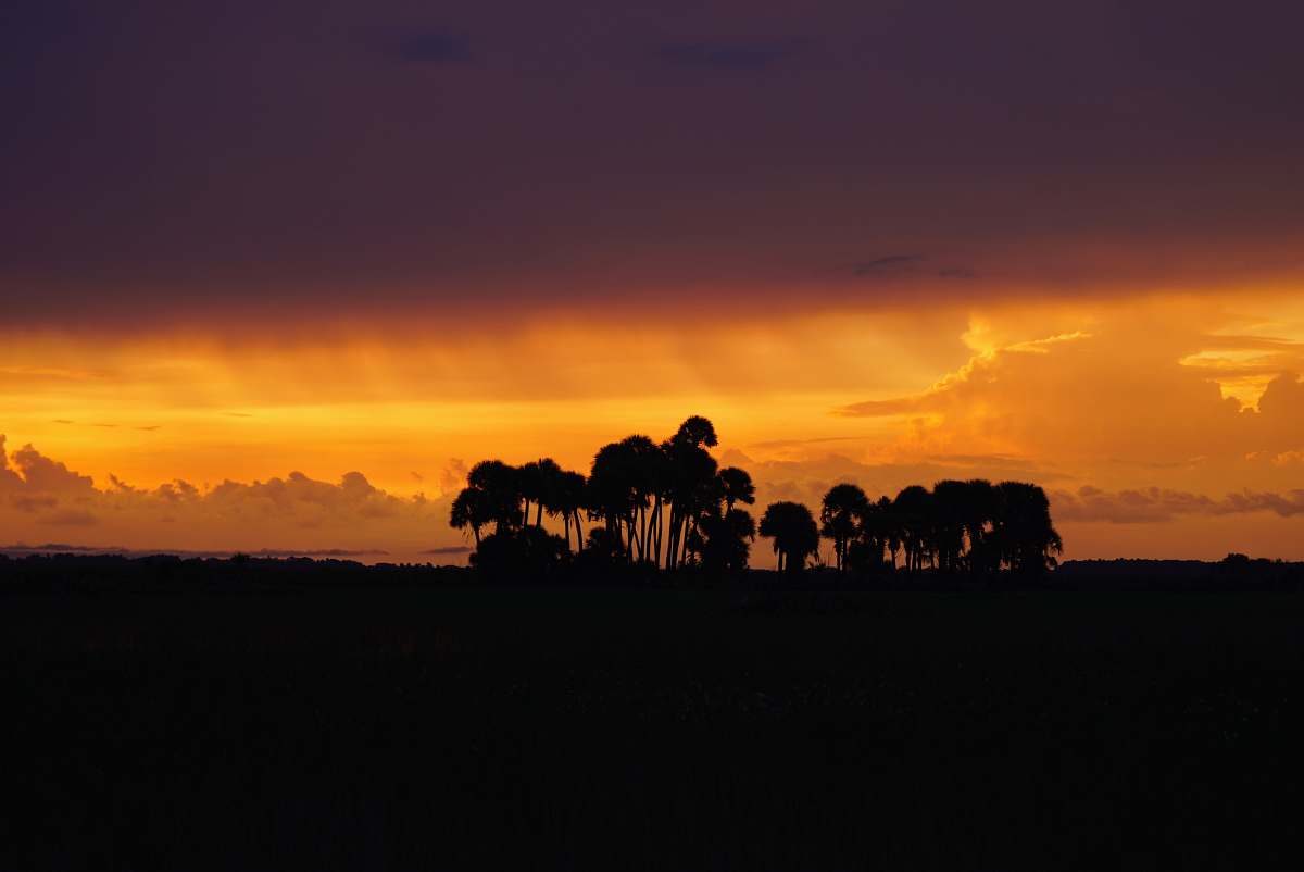 dawn silhouette of people on field during sunset dusk