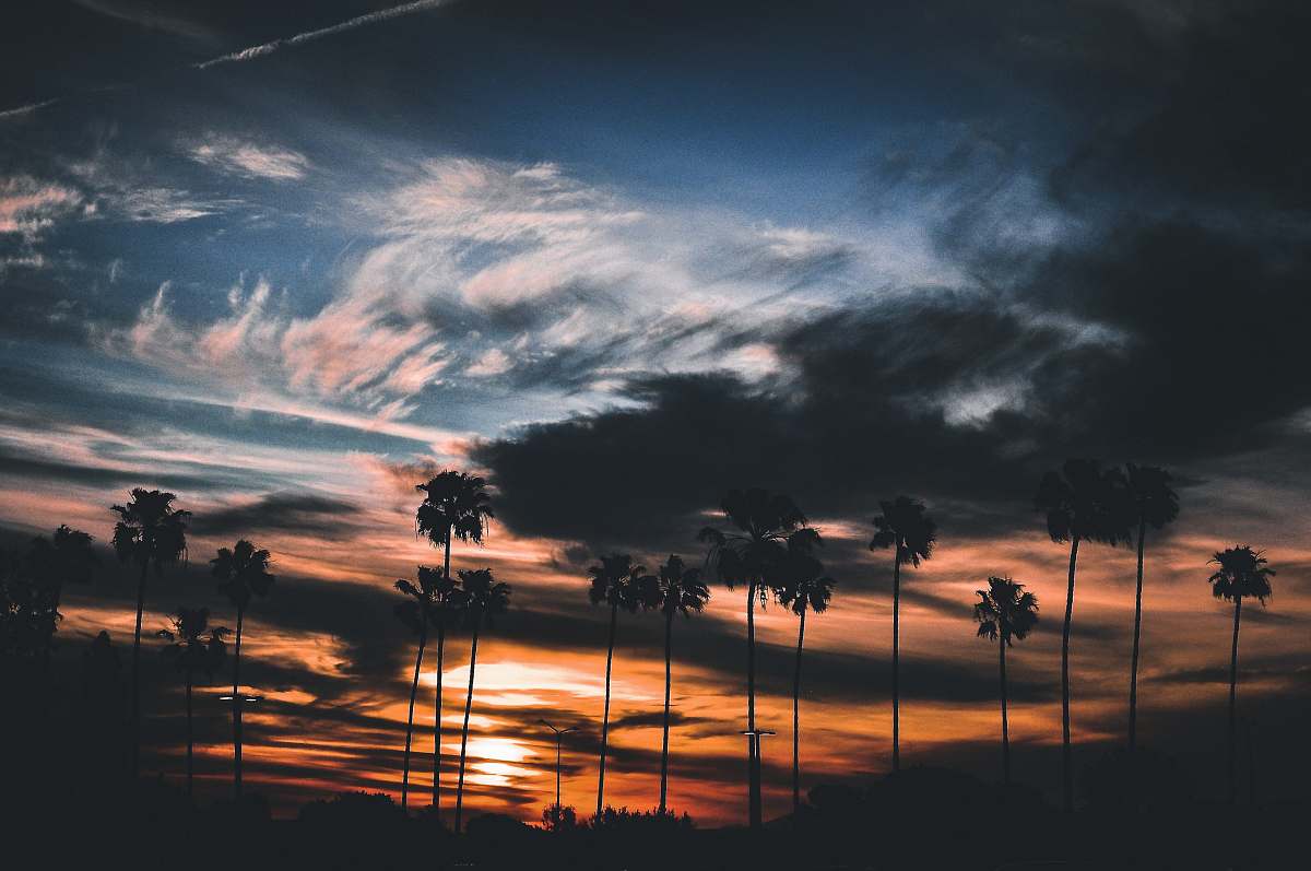sunset silhouette of trees under cloudy sky during sunrise outdoors