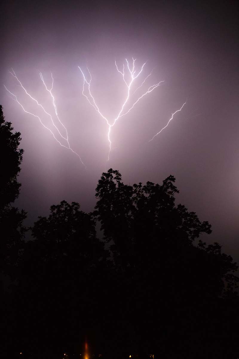 outdoors silhouette of trees under thunder lightning storm