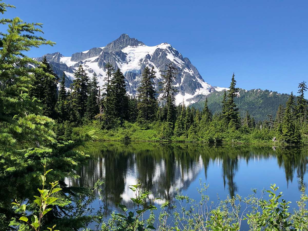 forest snow capped gray mountains near green pine trees and calm body of water outdoors