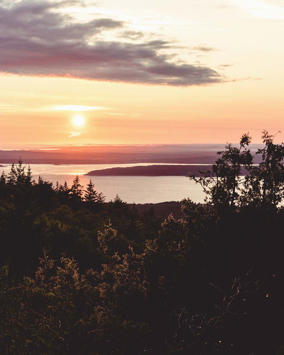 dawn trees across body of water during golden hour dusk