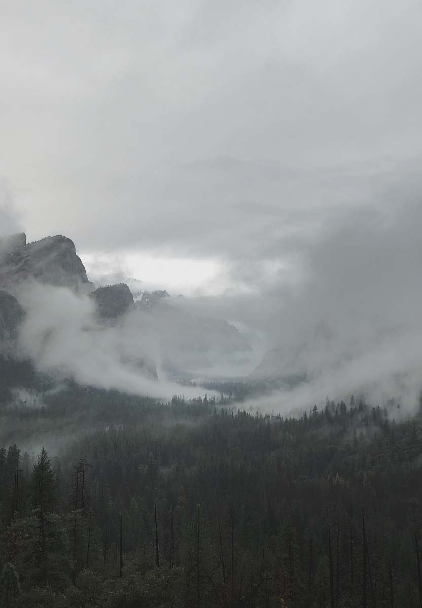 grey white fog on mountain weather