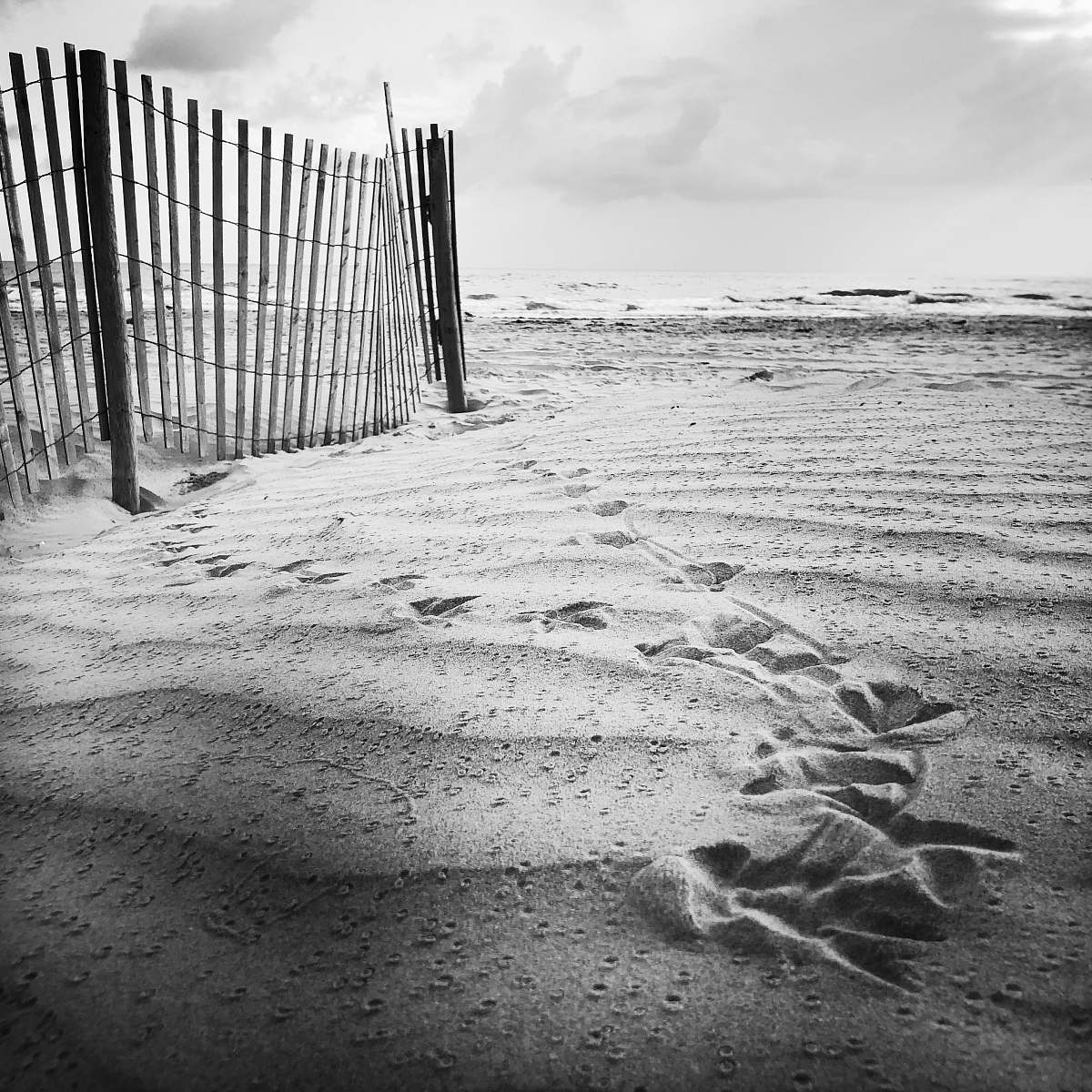black-and-white white wooden beach fence grey