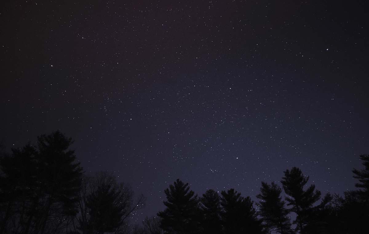 astronomy high angle photography of trees during night time space