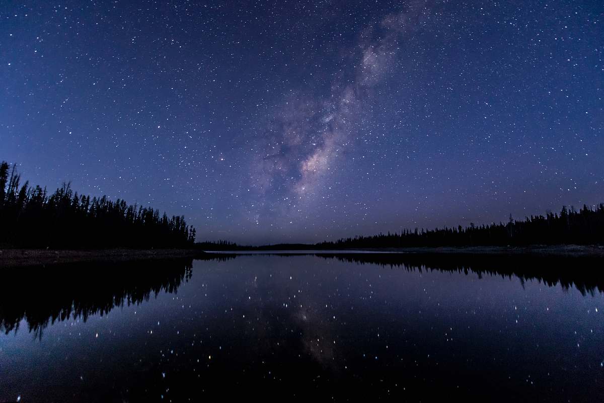 astronomy silhouette of trees near body of water under sky with stars galaxy