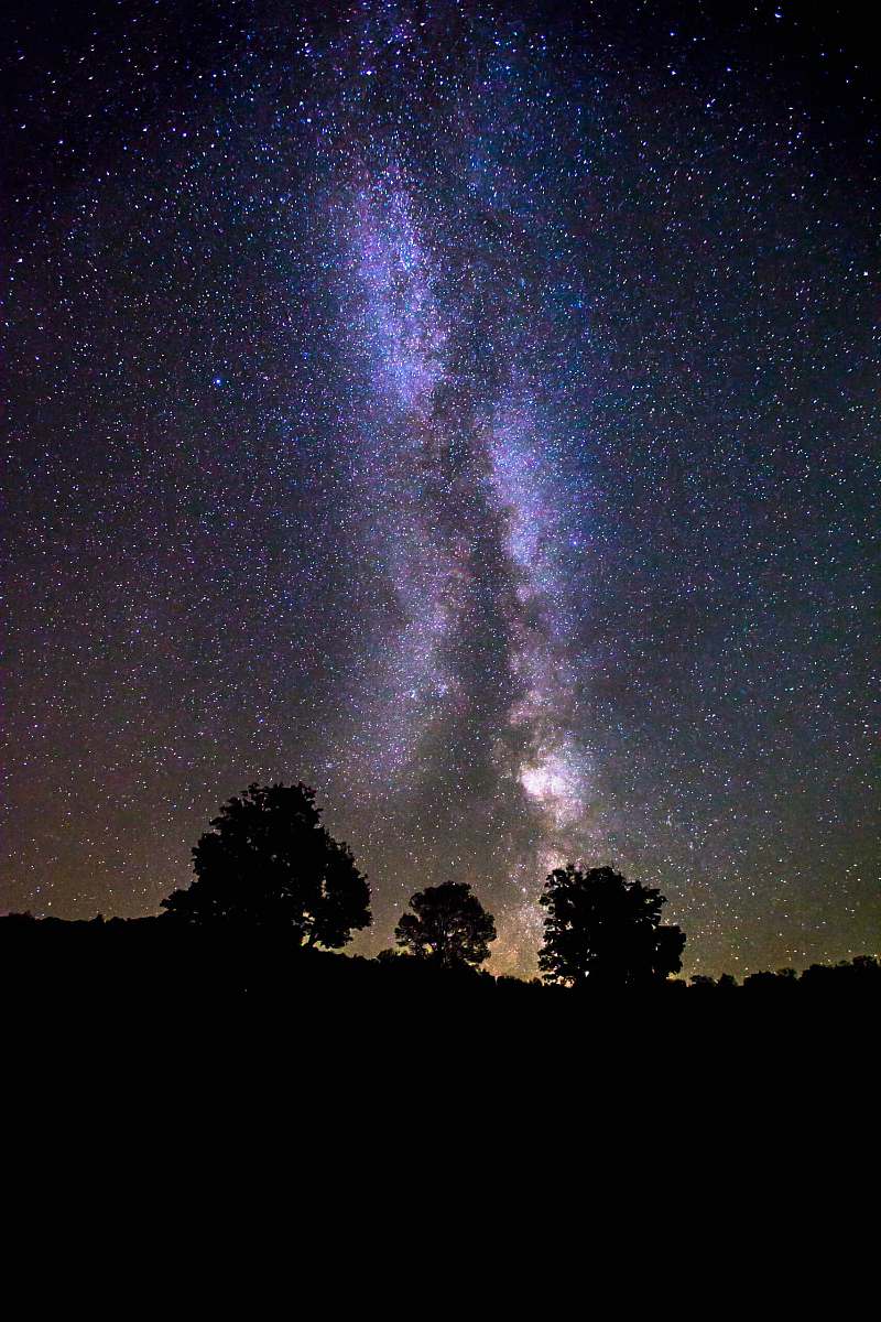 galaxy silhouette of trees under milky way galaxy space
