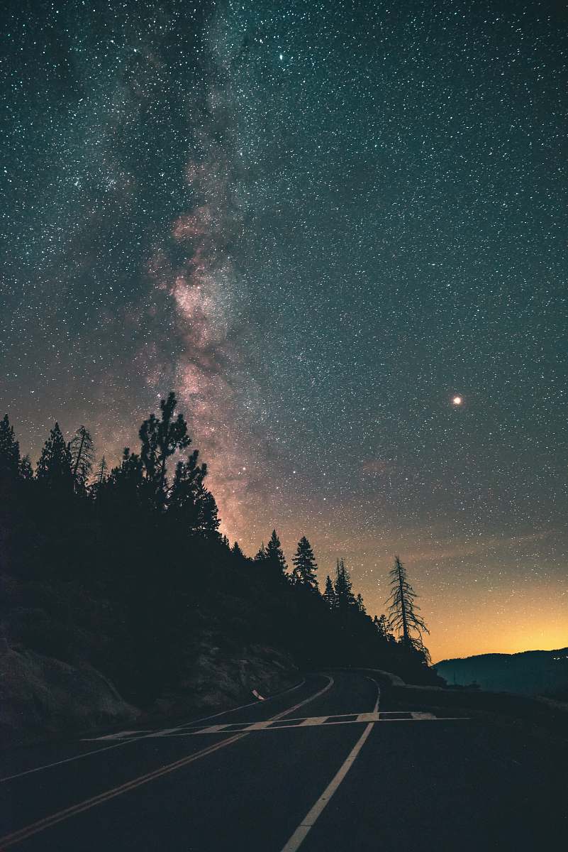 astronomy trees under starry night galaxy