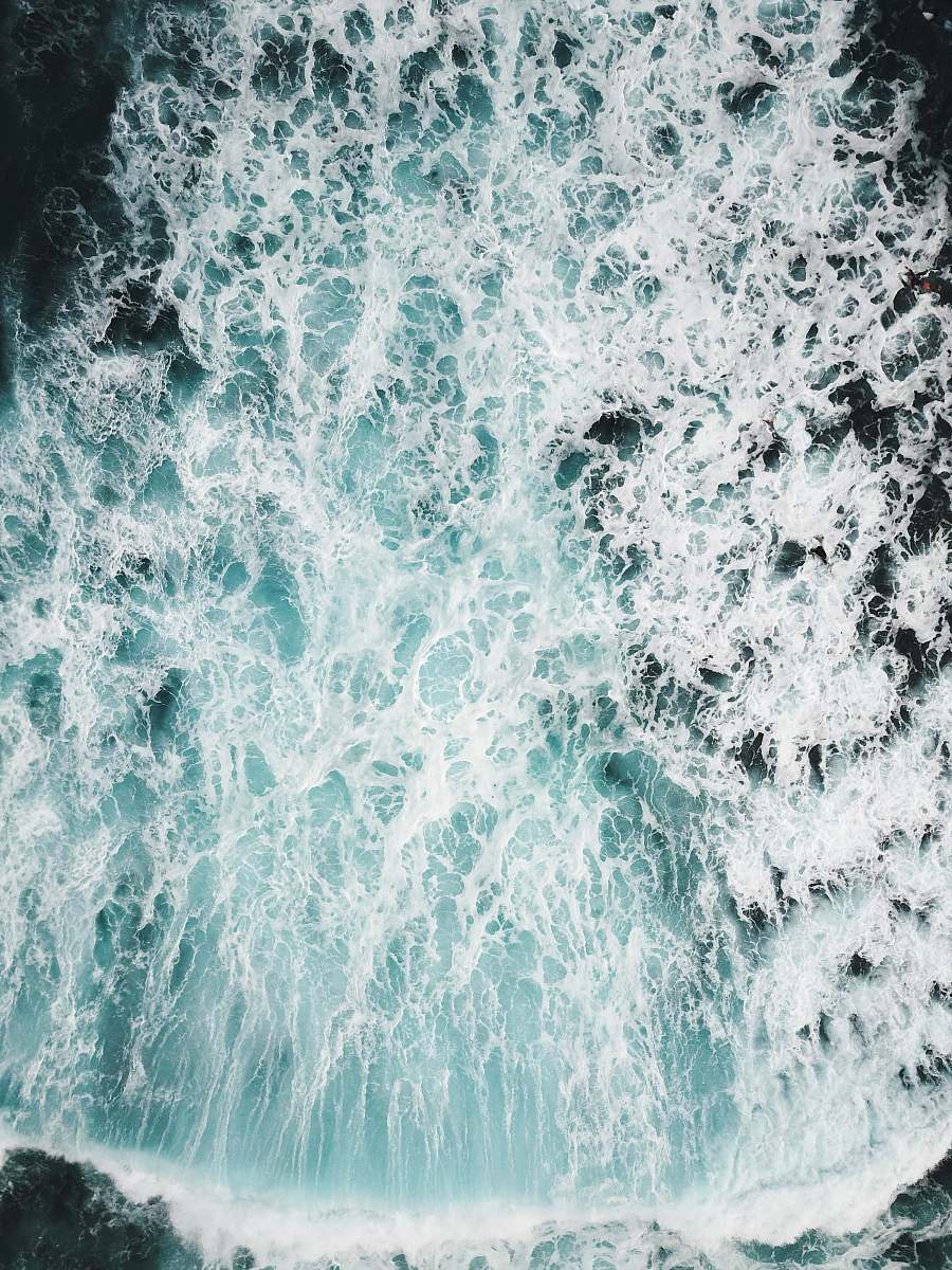 nature closeup photography of crashing seashore sea