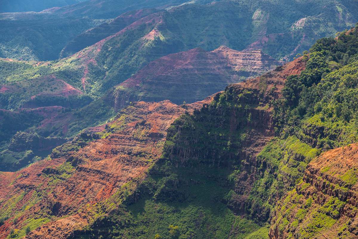 nature aerial photography of mountain showing trees mountain