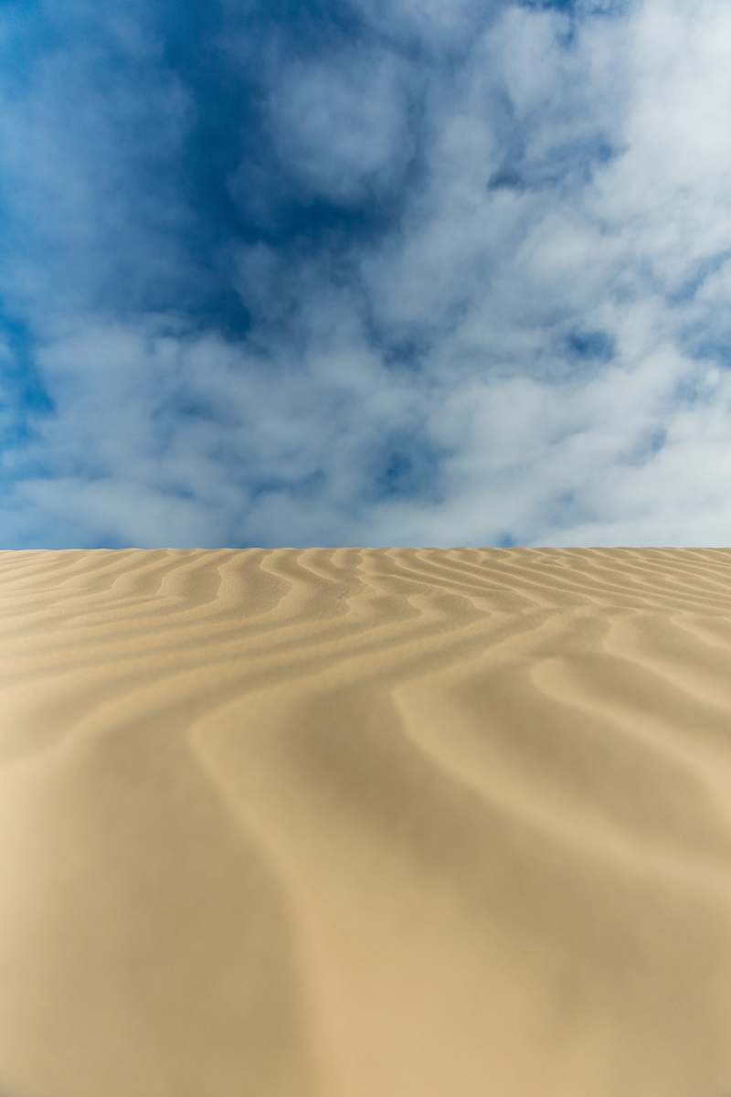 nature desert terrain during daytime desert