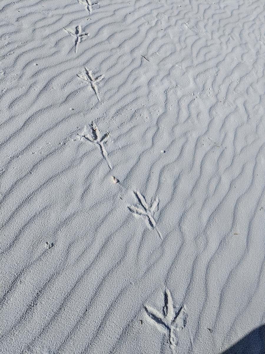 grey foot steps on sand sand