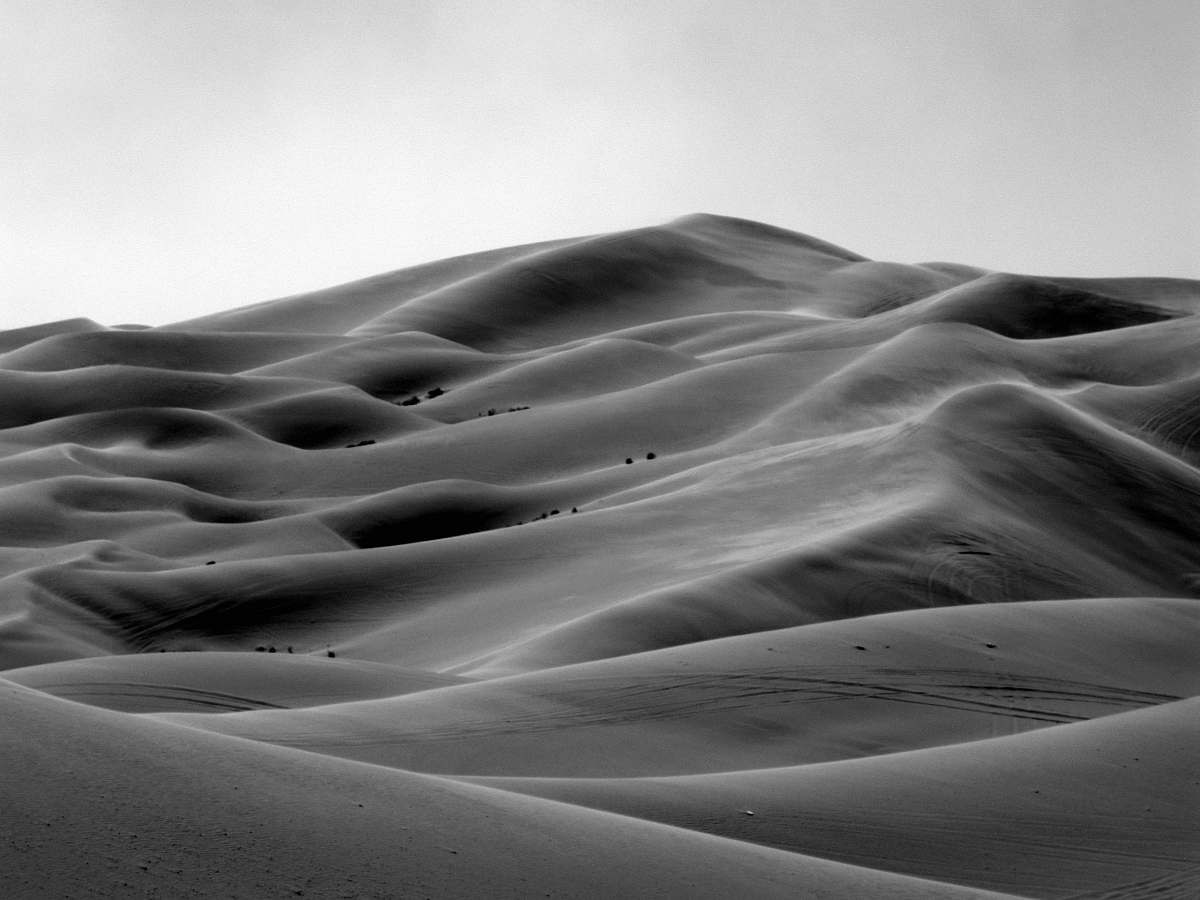 black-and-white grayscale photo of desert sand