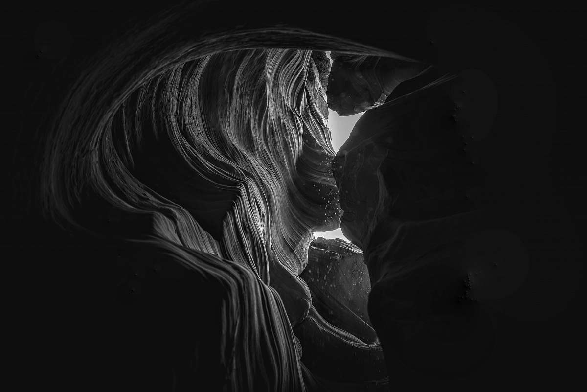 black-and-white grayscale photo of woman in dress nature