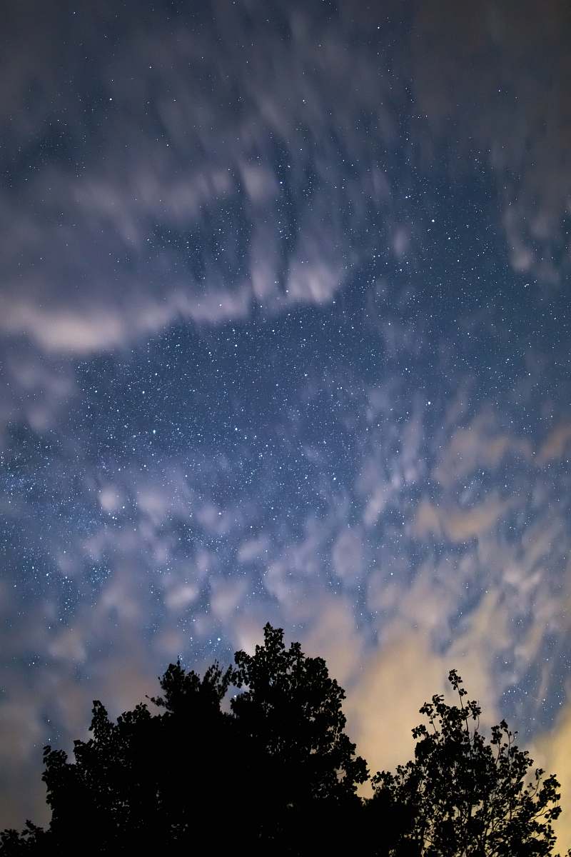 sky green tree under cloudy skies night
