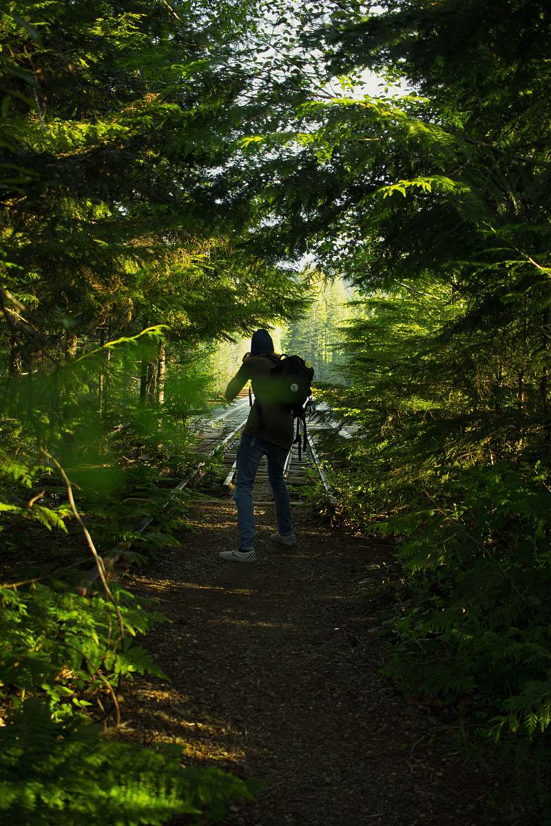 human man in black jacket walking on pathway in between trees during daytime person