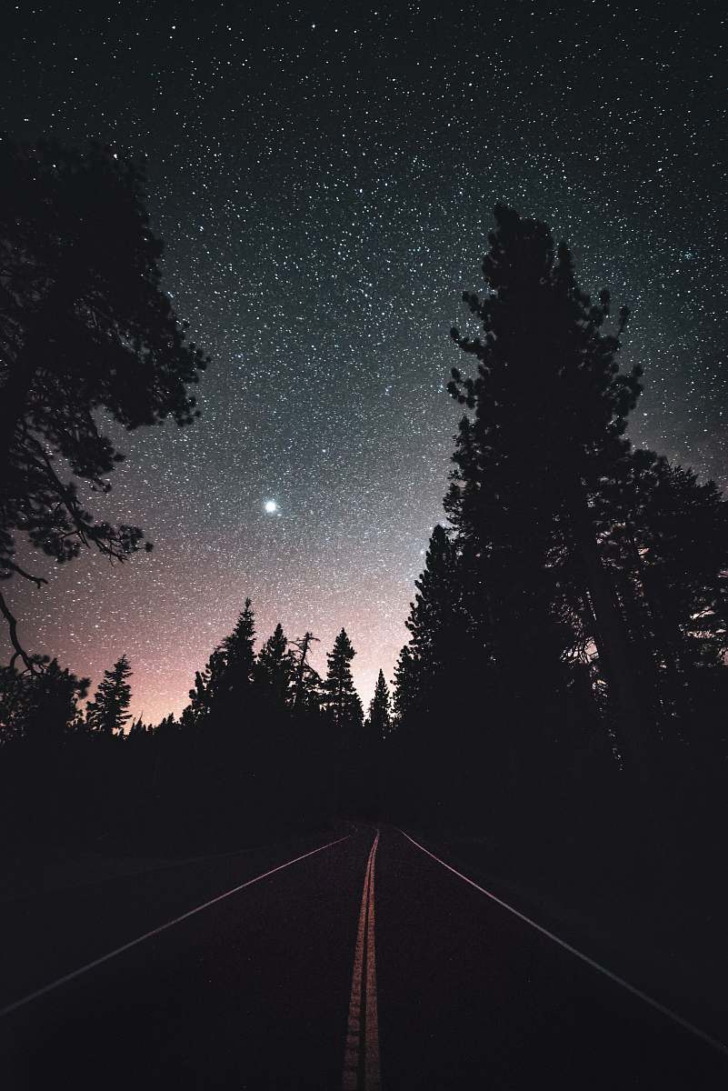 night pine trees silhouette during night time astronomy