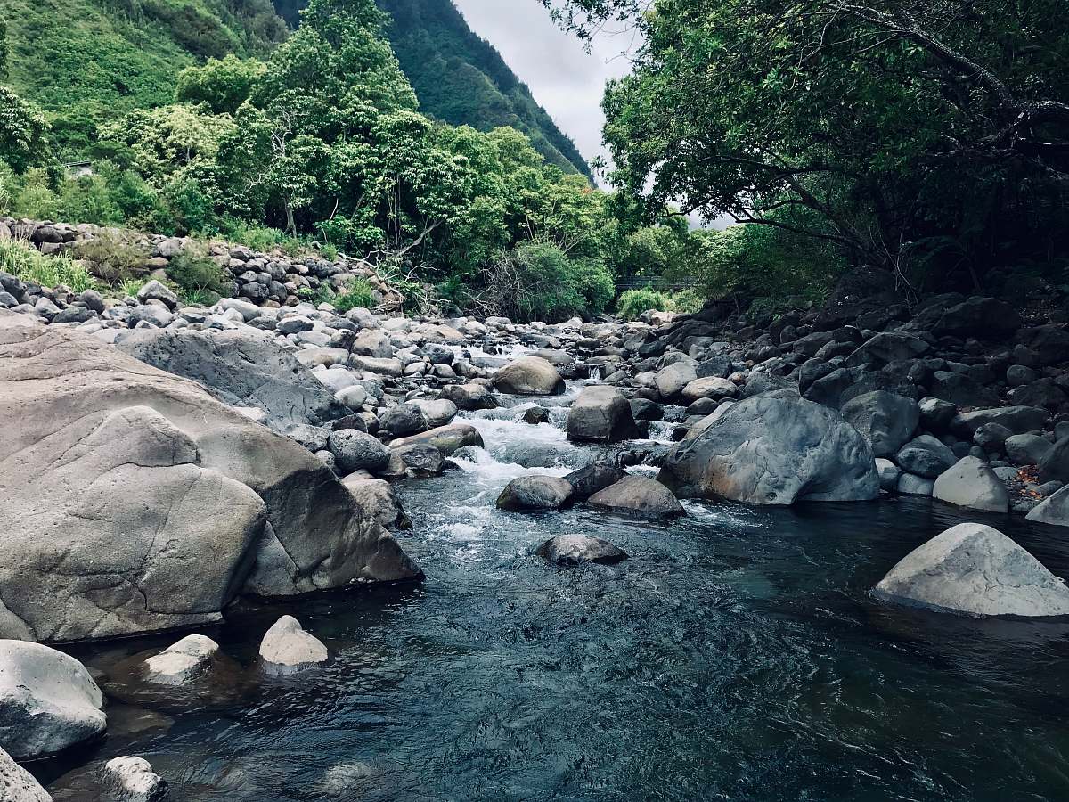 nature rocks at the river during daytime water