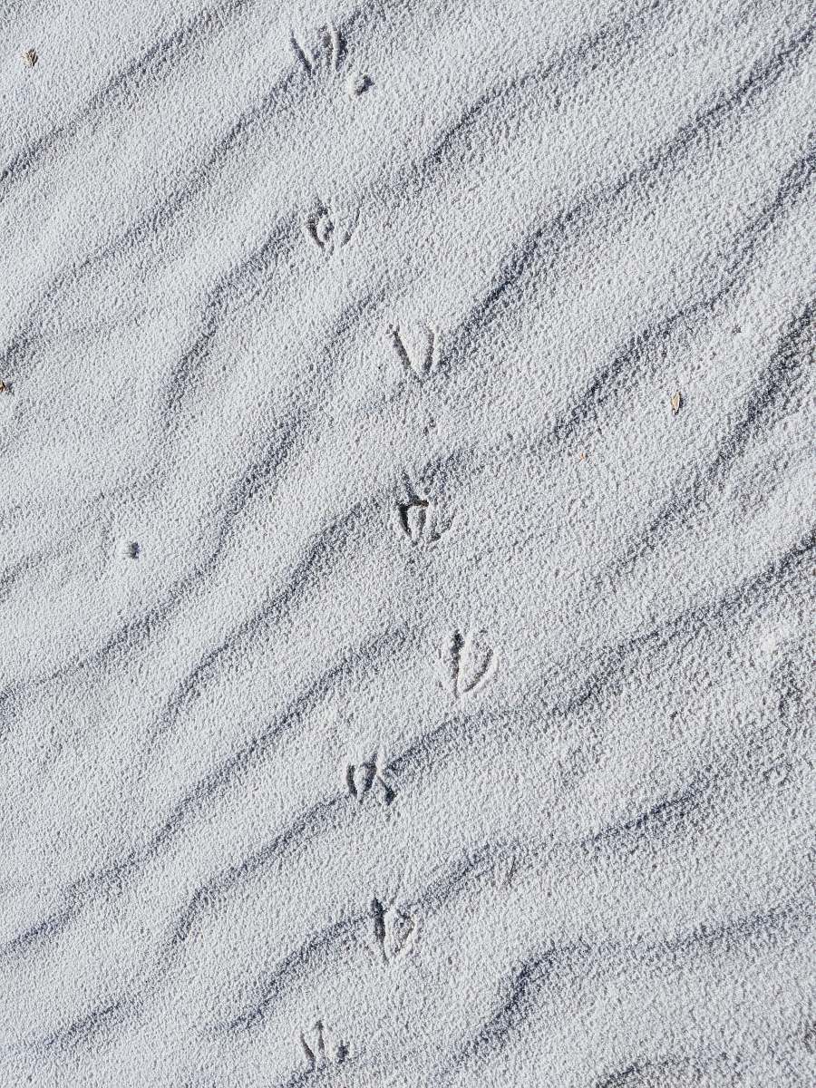 grey top view of sand dunes soil