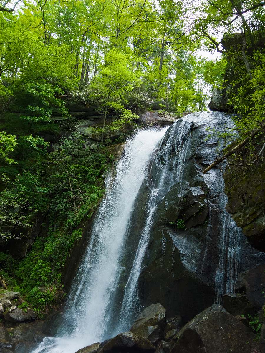 river waterfalls in the forest during daytime nature