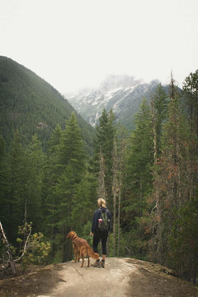 dog woman with dog standing on edge of cliff facing forest and mountain wilderness