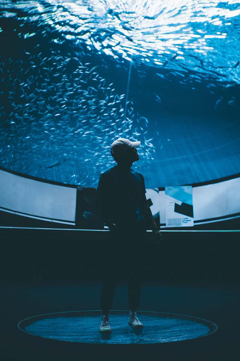 human man wearing curved-brim cap inside the aquarium person