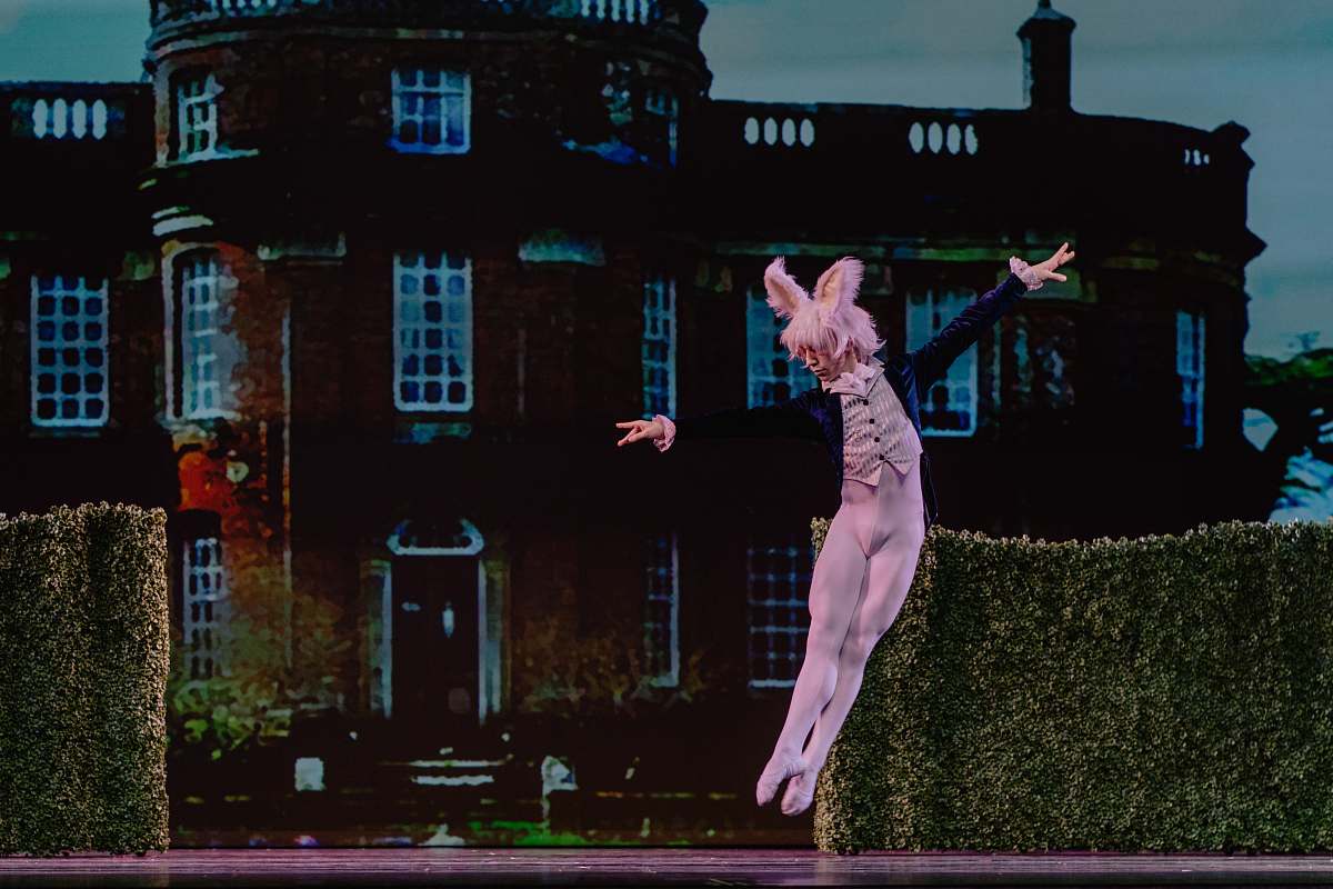 human man wearing rabbit costume jumping near the green grass wall people