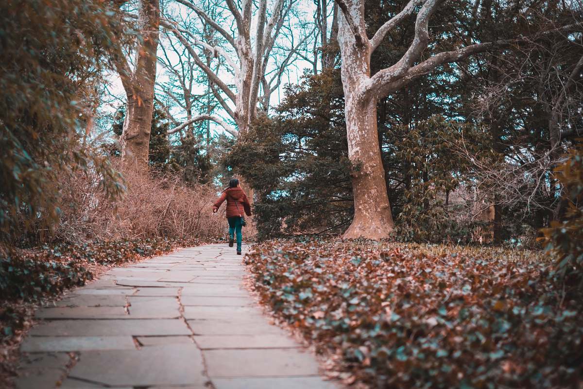 human person walking on road surrounded by trees plant
