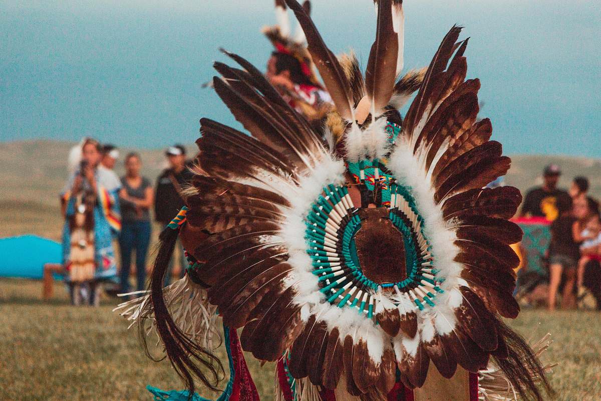human person wearing brown, white, and teal feather costume people
