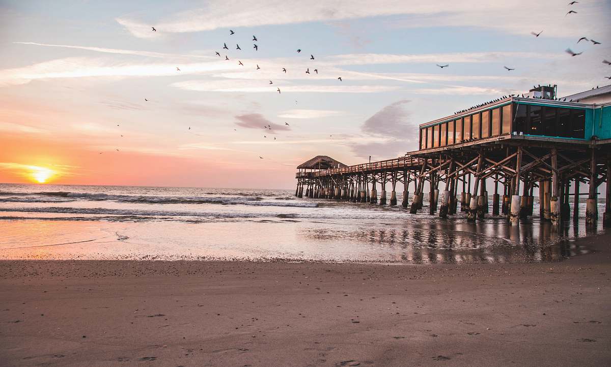 beach birds flying over brown wooden sea dock during sunset coast
