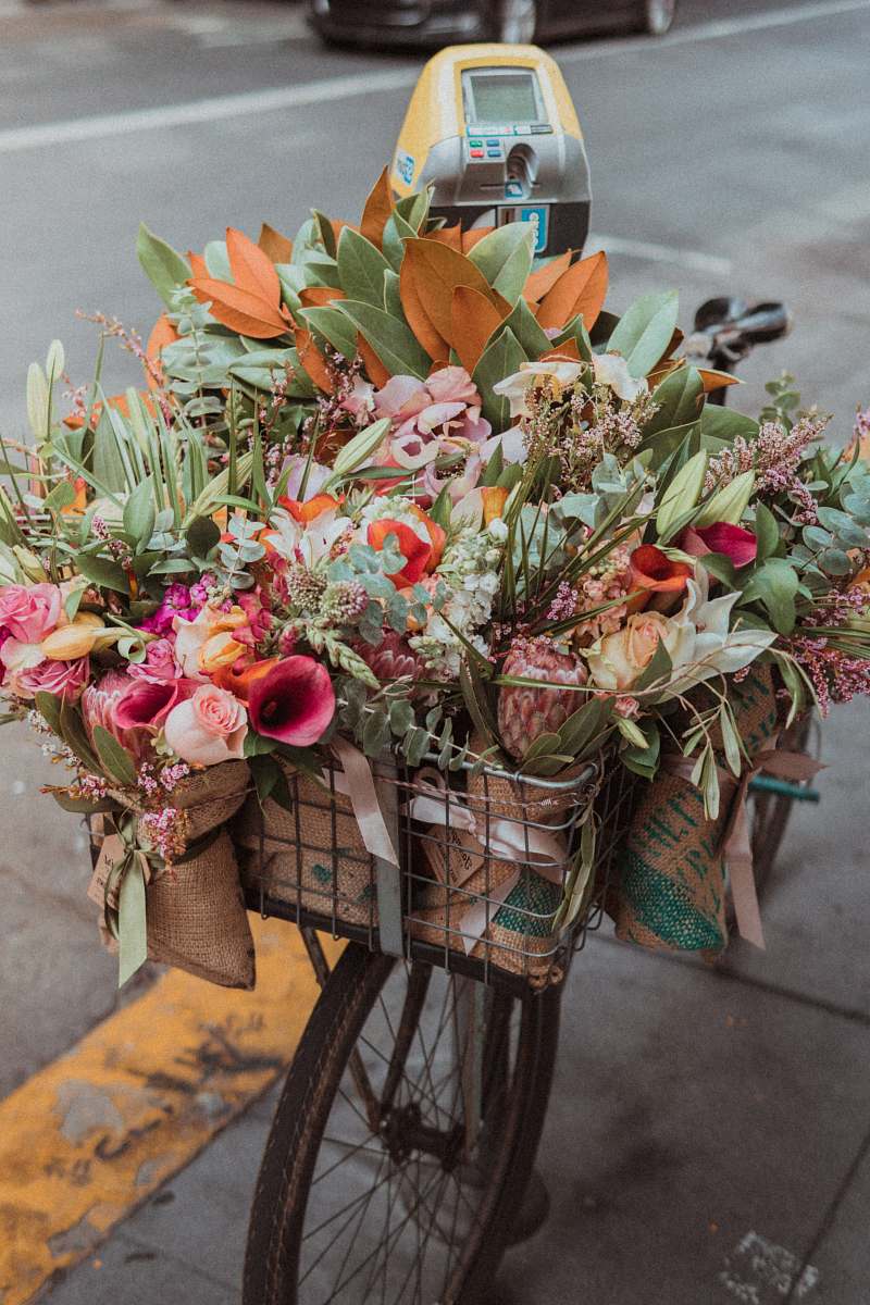 flora assorted-color flowers in bike basket jar