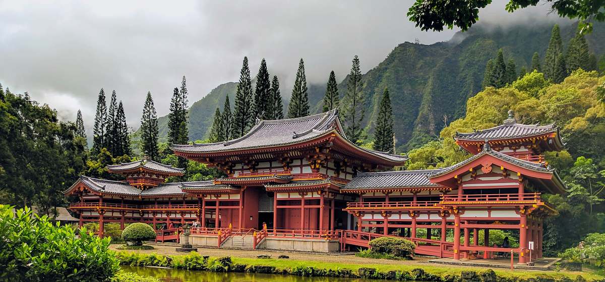 architecture brown wooden pagoda temple surrounded by green trees forest