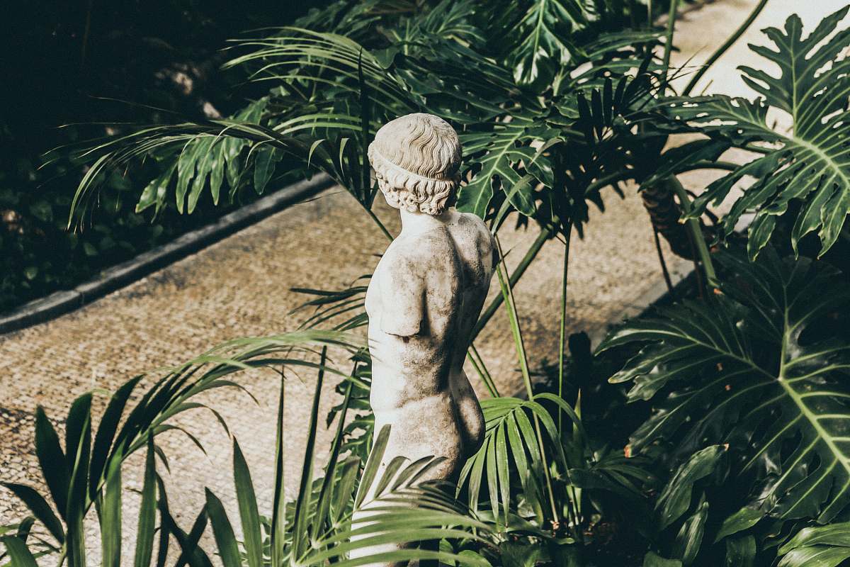 flora closeup photo of topless statue surrounded by plants jar