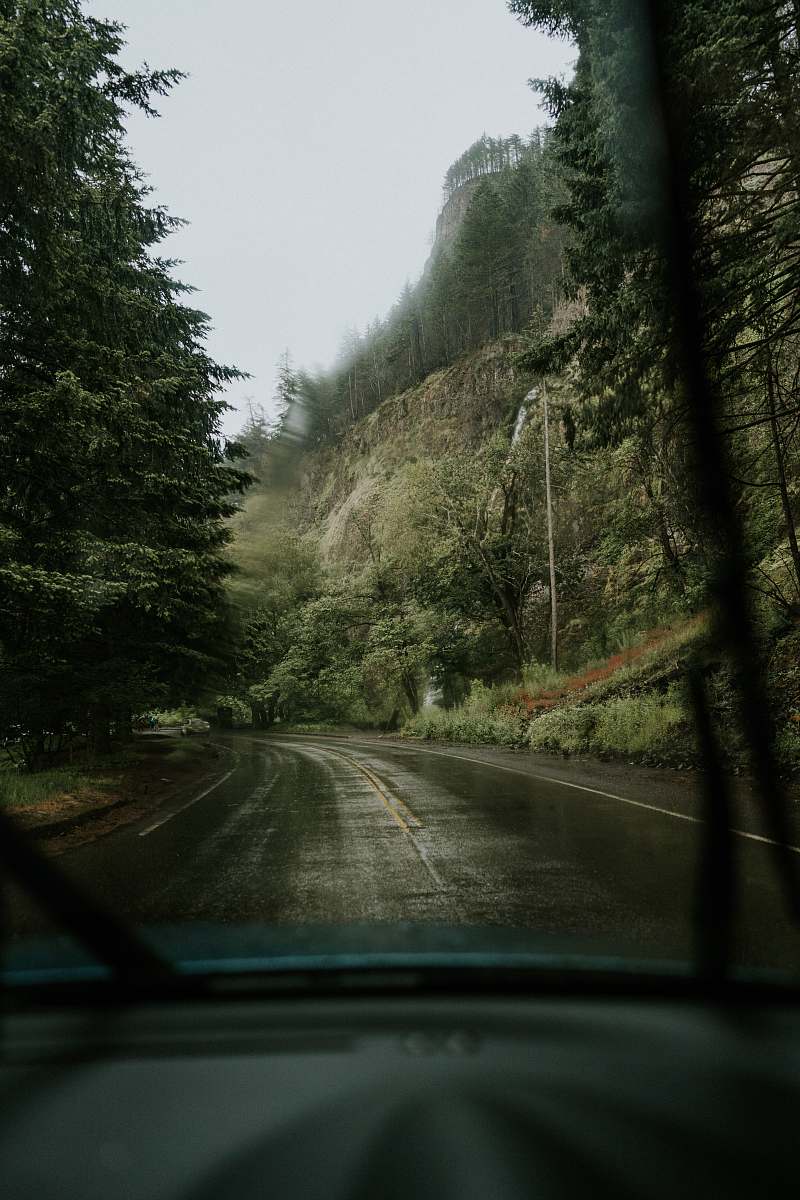 road gray asphalt road tree