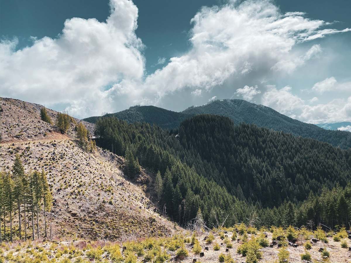 nature green and brown mountain under white clouds and blue sky during daytime tree