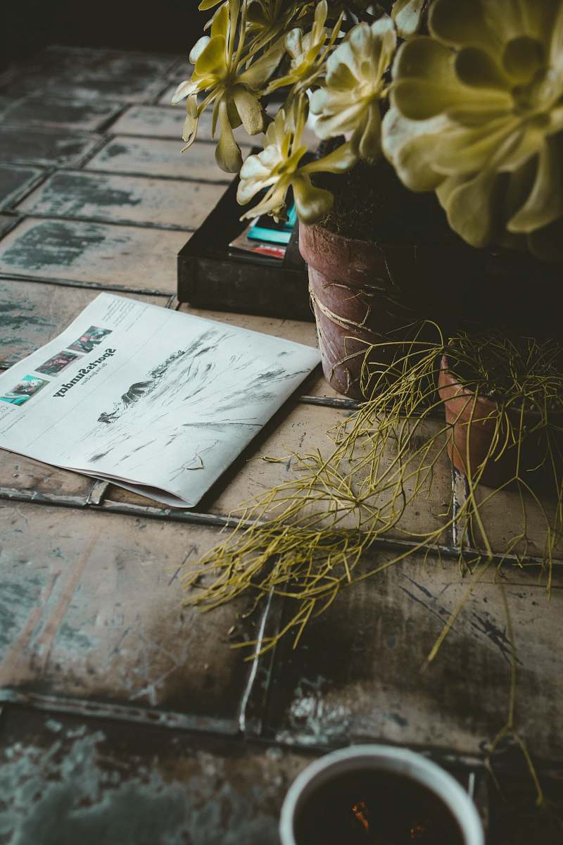 blossom newspaper beside plant book