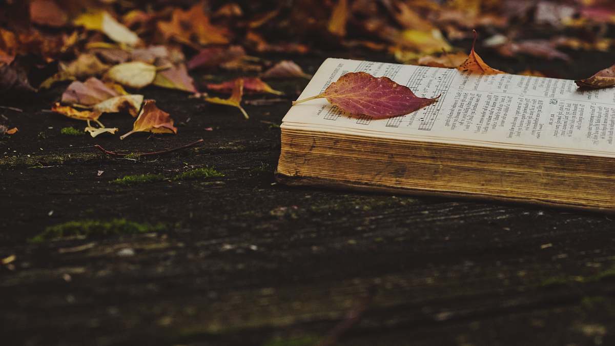 leaf opened book book