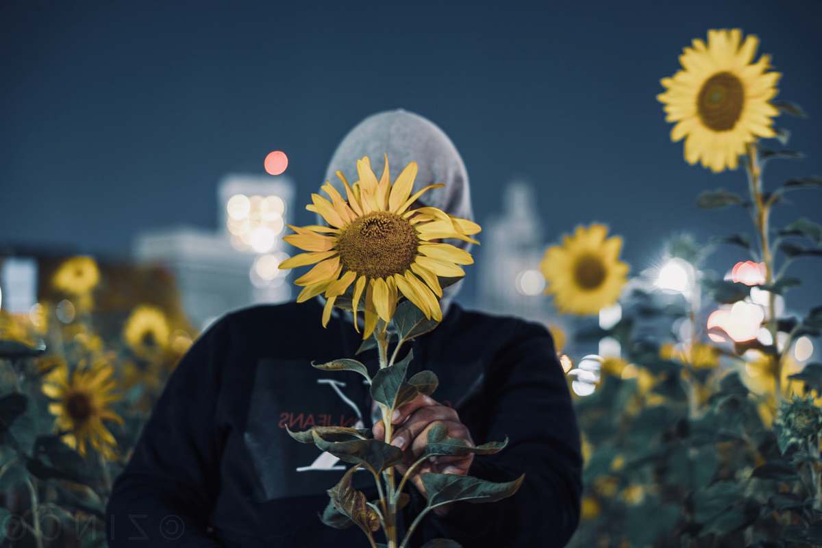 sunflower woman covering face with sunflower blossom