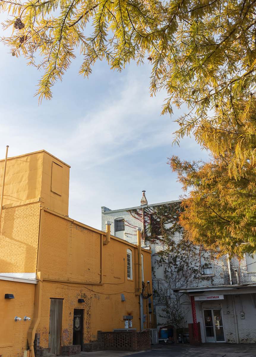 tree yellow building united states