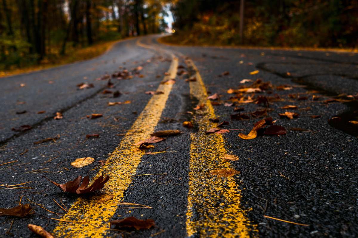 tarmac dried leaves on ground dracut