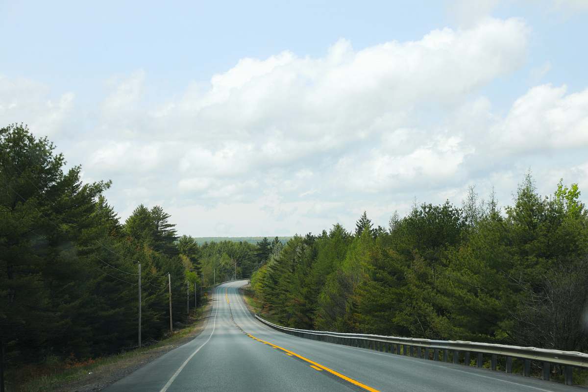 freeway empty road between forest highway