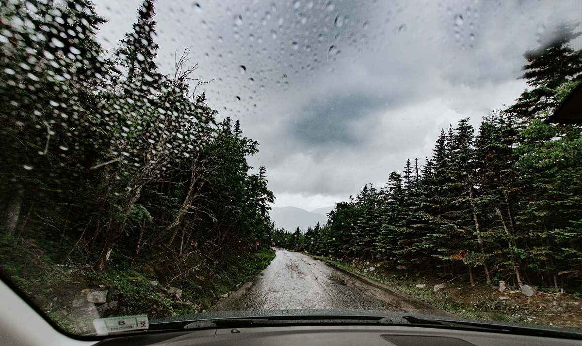 flora gray road between green trees during daytime jar