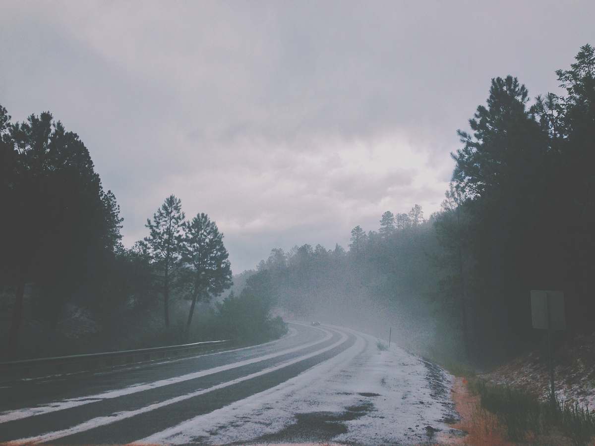 grey road between trees under cloudy sky at daytime gravel