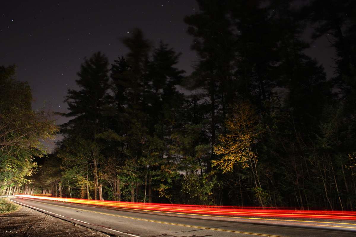 freeway trees and road highway