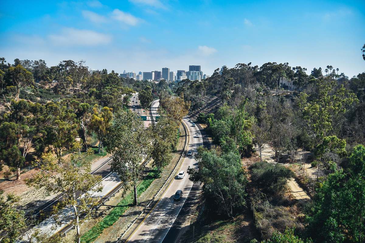 freeway vehicle passing on road in between trees with buildings ahead at daytime balboa park