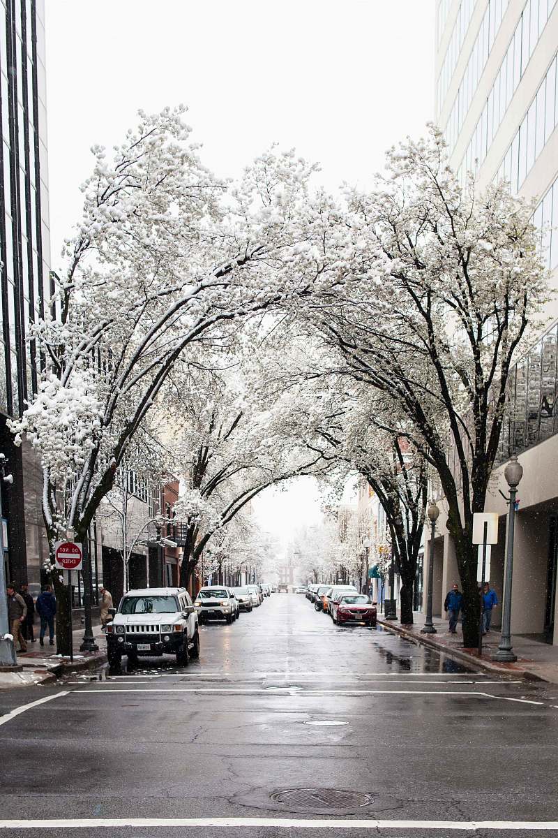 walkway white car on rode near trees covered with snow during daytime sidewalk