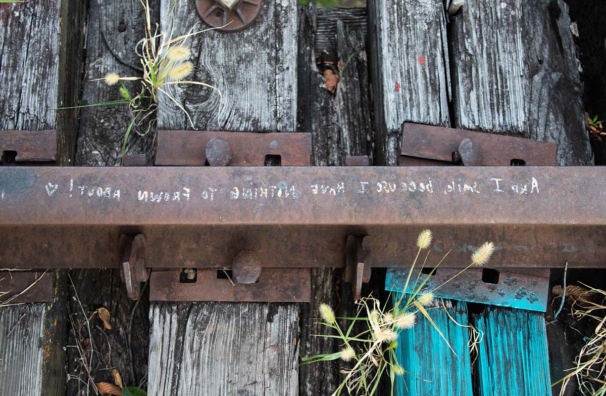 allen train trail texas