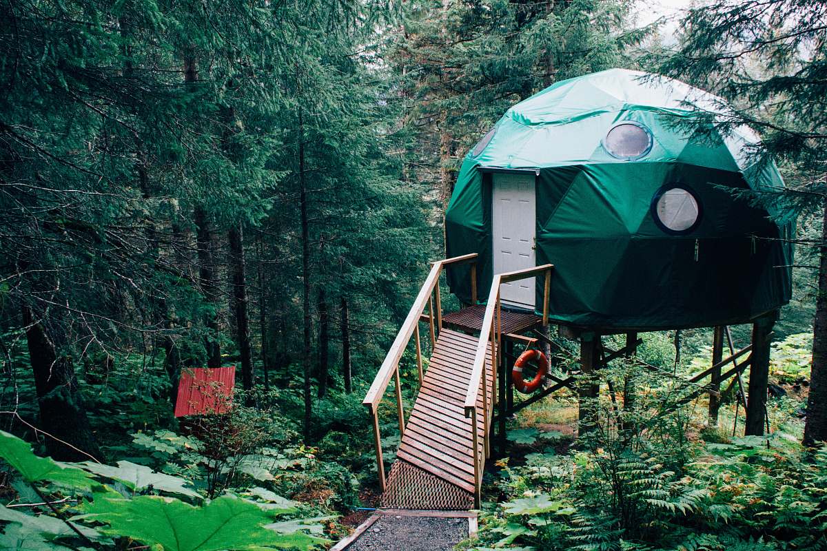 forest green dome near brown wooden dock near green leaved trees land