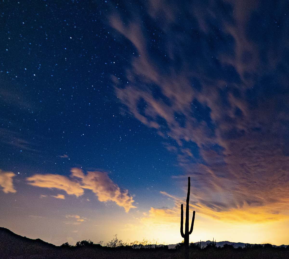 outdoors desert during nighttime salome