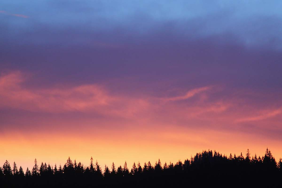 sunset silhouette of trees under orange and blue sky during sunset dawn